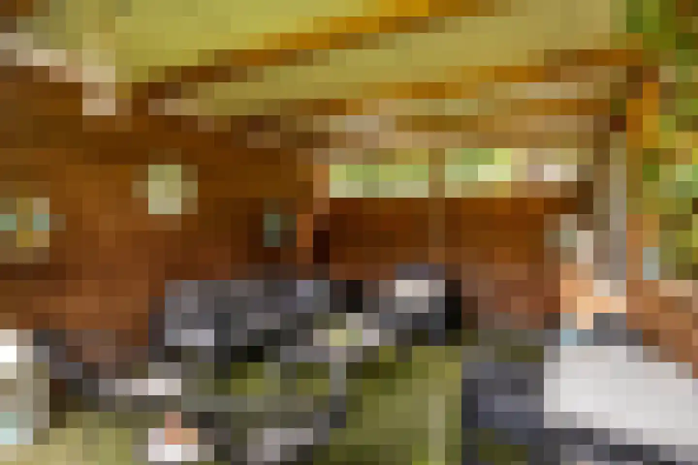 Terhagen 3 Elsloo thumbnail 70