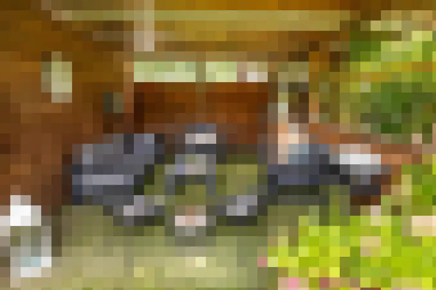 Terhagen 3 Elsloo thumbnail 72