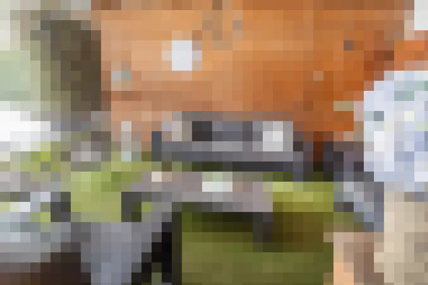 Terhagen 3 Elsloo thumbnail 74