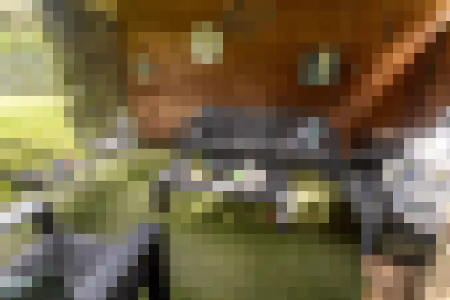 Terhagen 3 Elsloo thumbnail 75