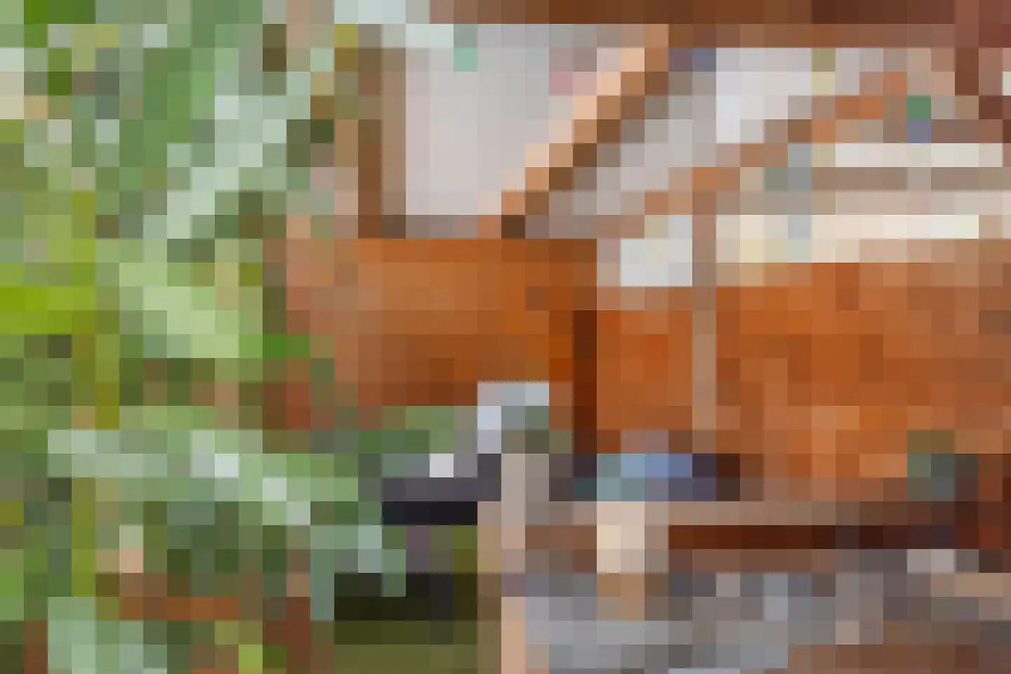 Terhagen 3 Elsloo thumbnail 75