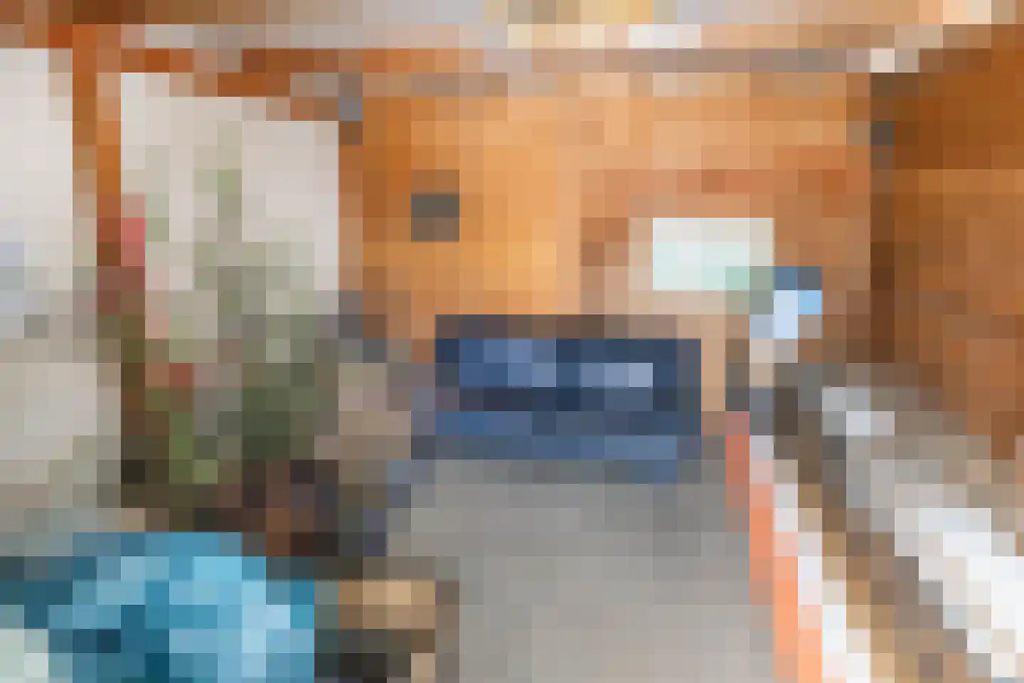 Terhagen 3 Elsloo thumbnail 78