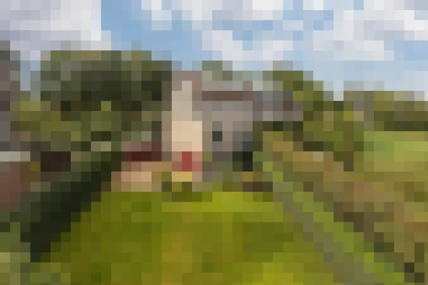 Terhagen 3 Elsloo thumbnail 79