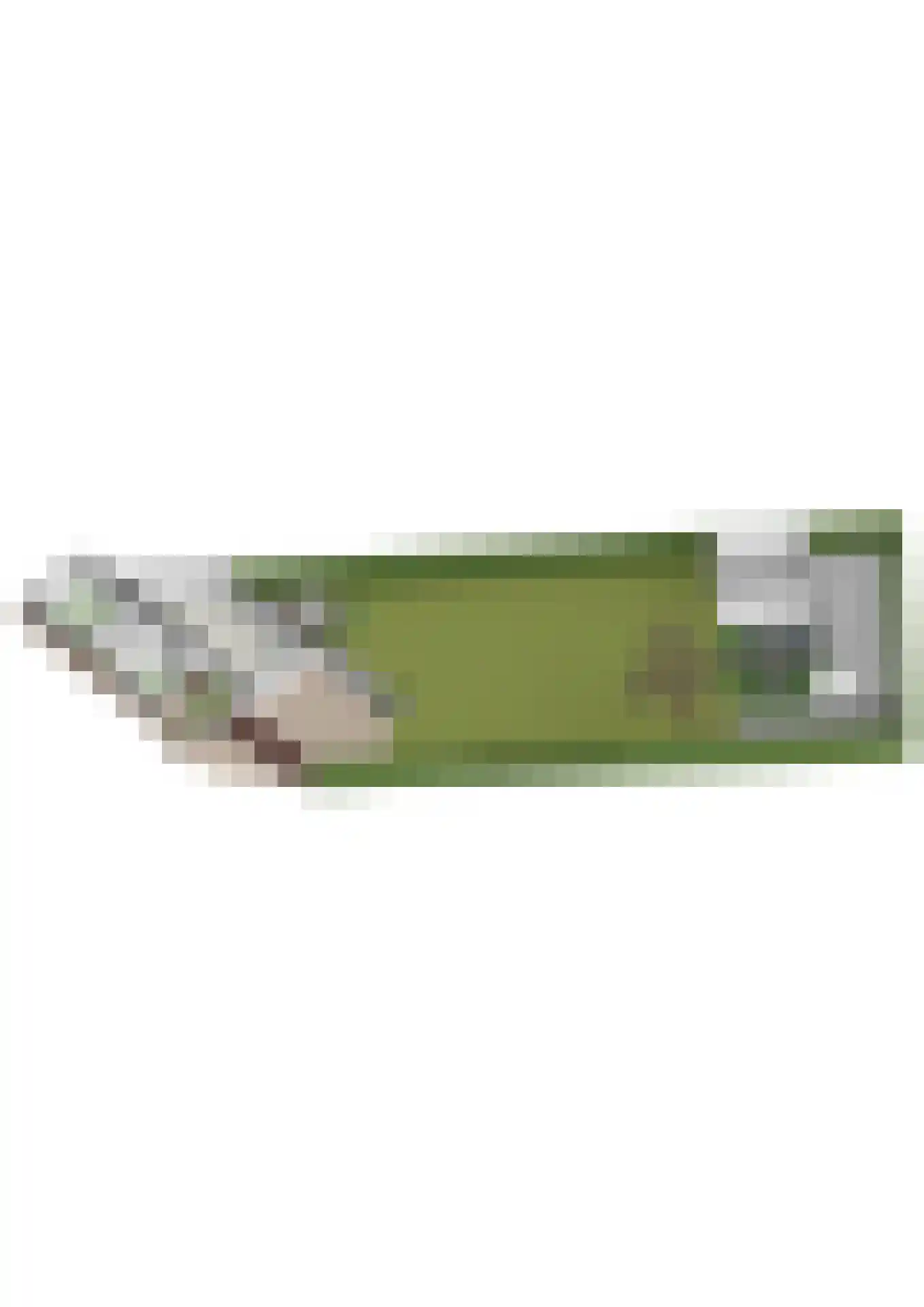 Terhagen 3 Elsloo thumbnail 79