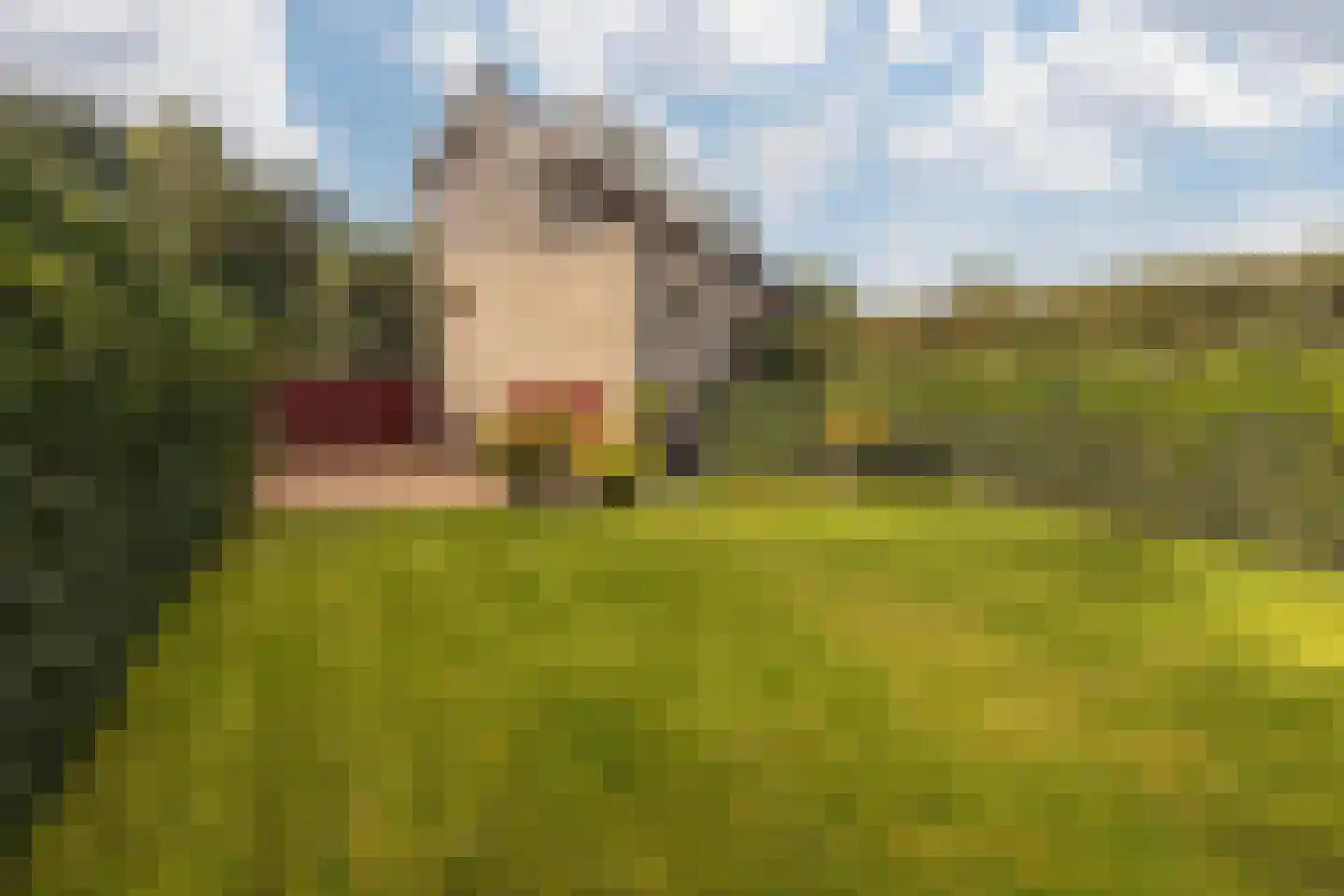 Terhagen 3 Elsloo thumbnail 80