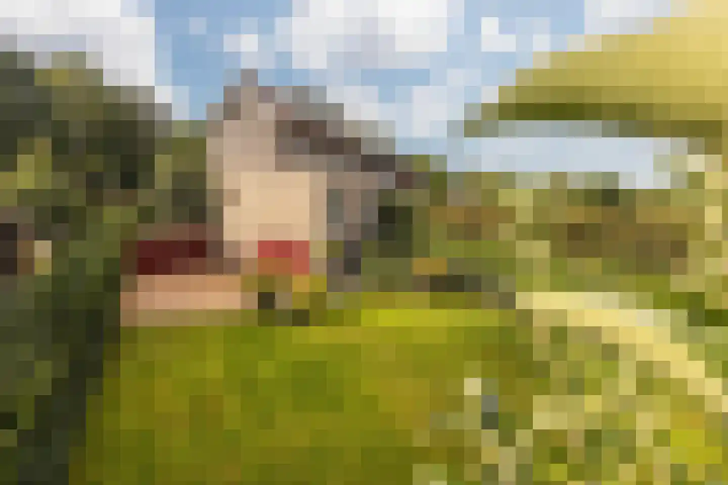 Terhagen 3 Elsloo thumbnail 82