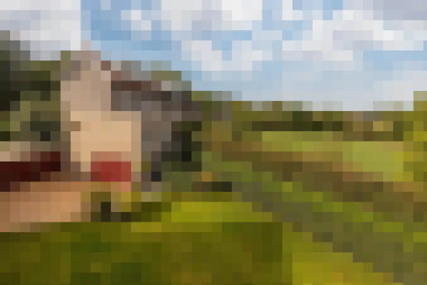 Terhagen 3 Elsloo thumbnail 83