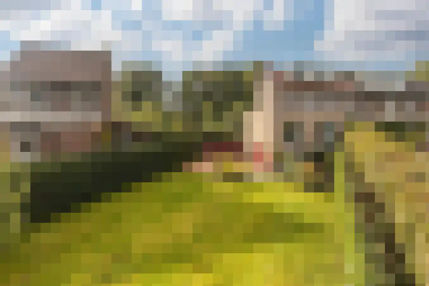 Terhagen 3 Elsloo thumbnail 85