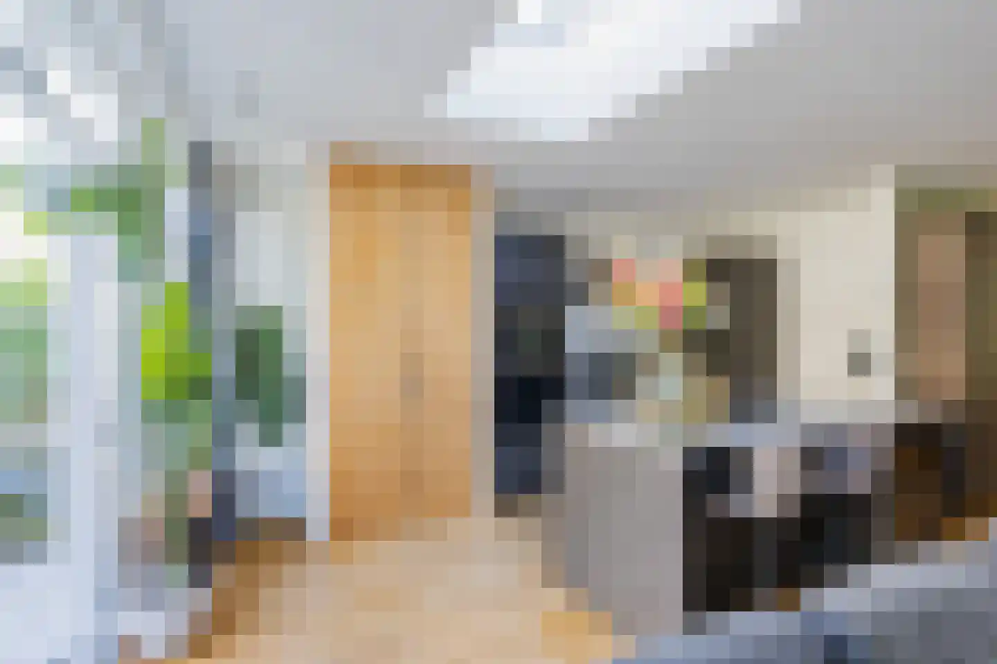 Terheidenstraat 9 Haarlem thumbnail 14