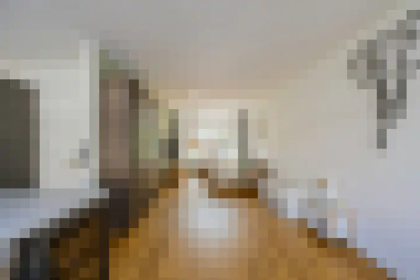 Terheidenstraat 9 Haarlem thumbnail 8