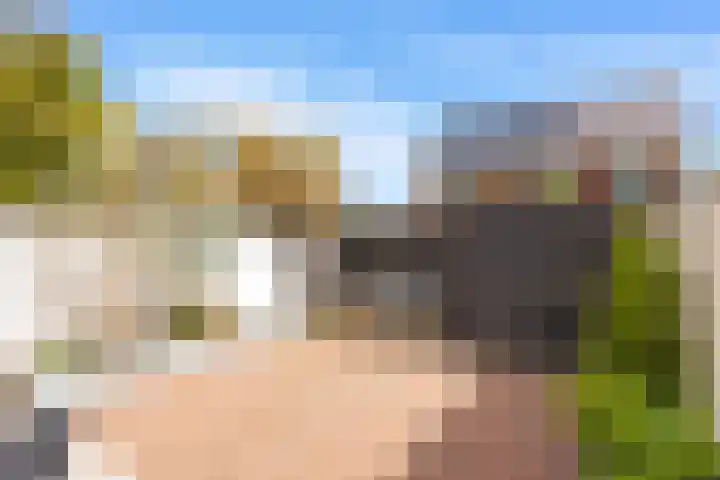 Terheijdenseweg 110 Breda thumbnail 21