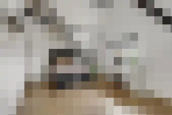 Terheijdenseweg 110 Breda thumbnail 34