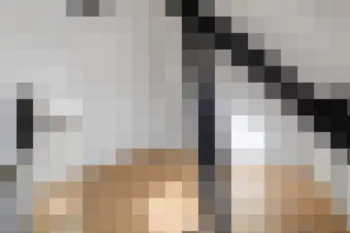 Terheijdenseweg 110 Breda thumbnail 36