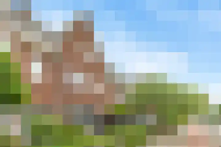 Terheijdenseweg 110 Breda thumbnail 37