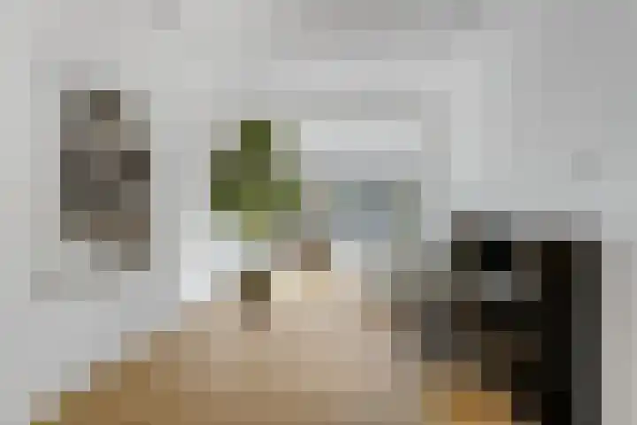 Terheijdenseweg 110 Breda thumbnail 8