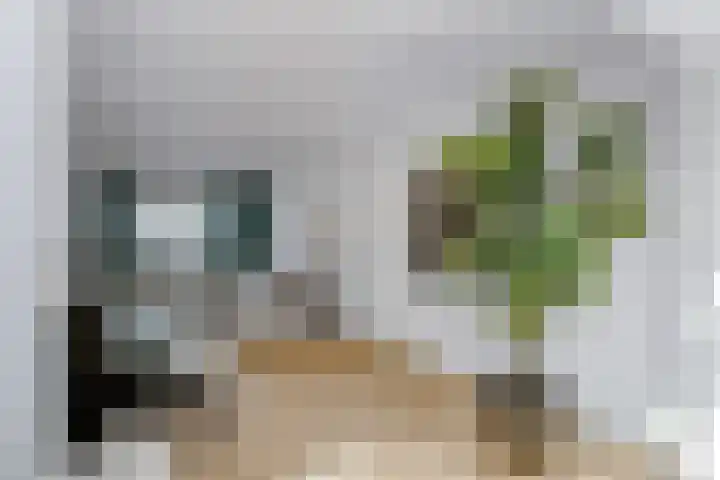 Terheijdenseweg 110 Breda thumbnail 9
