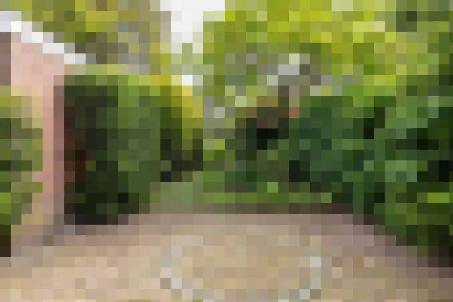 Terheijdenseweg 118 Breda thumbnail 22