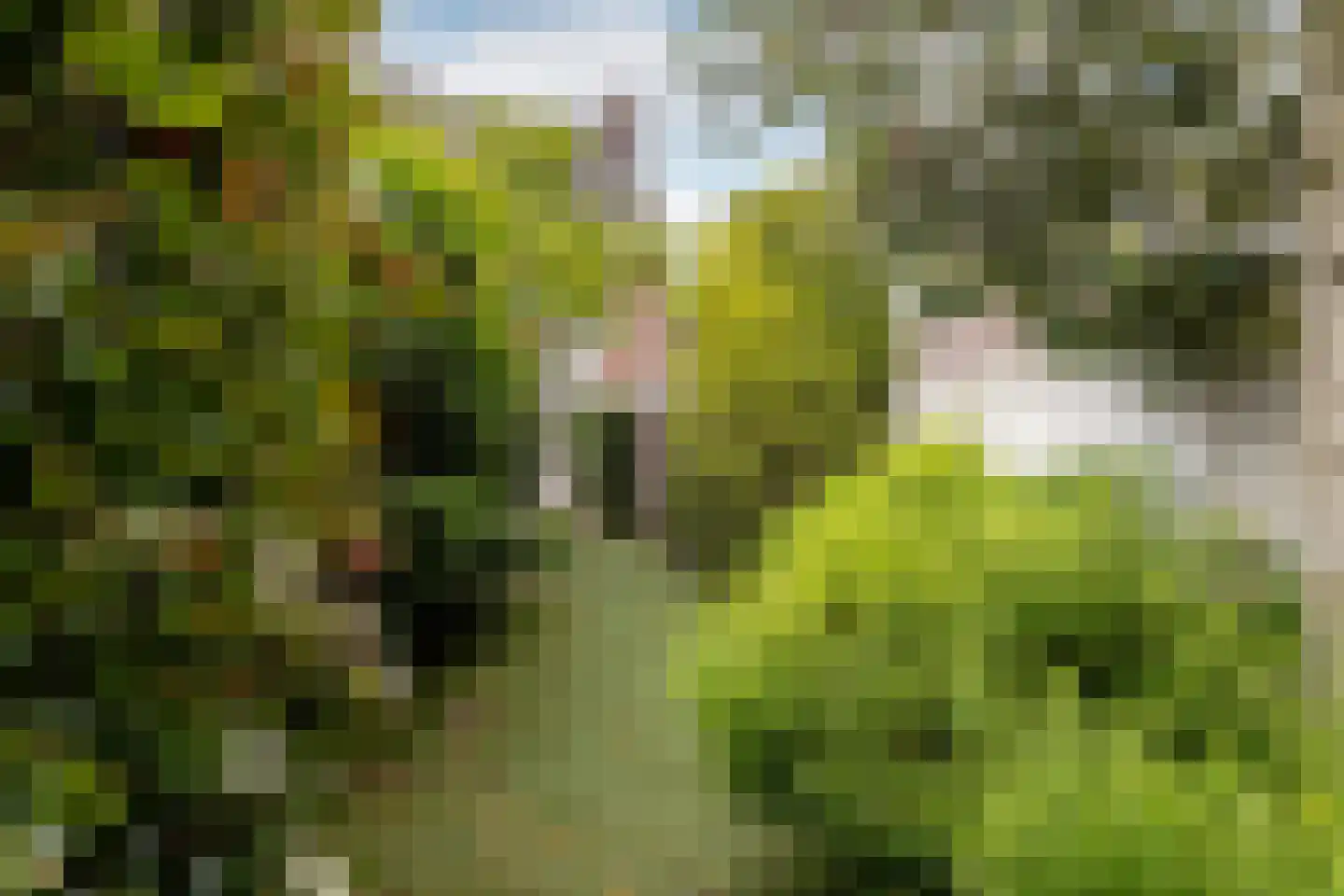 Terheijdenseweg 118 Breda thumbnail 24