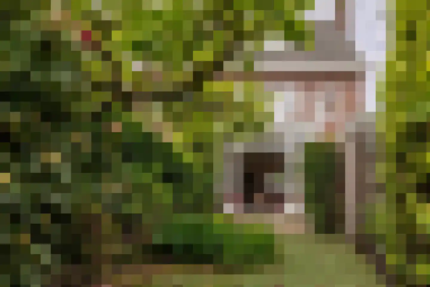 Terheijdenseweg 118 Breda thumbnail 25