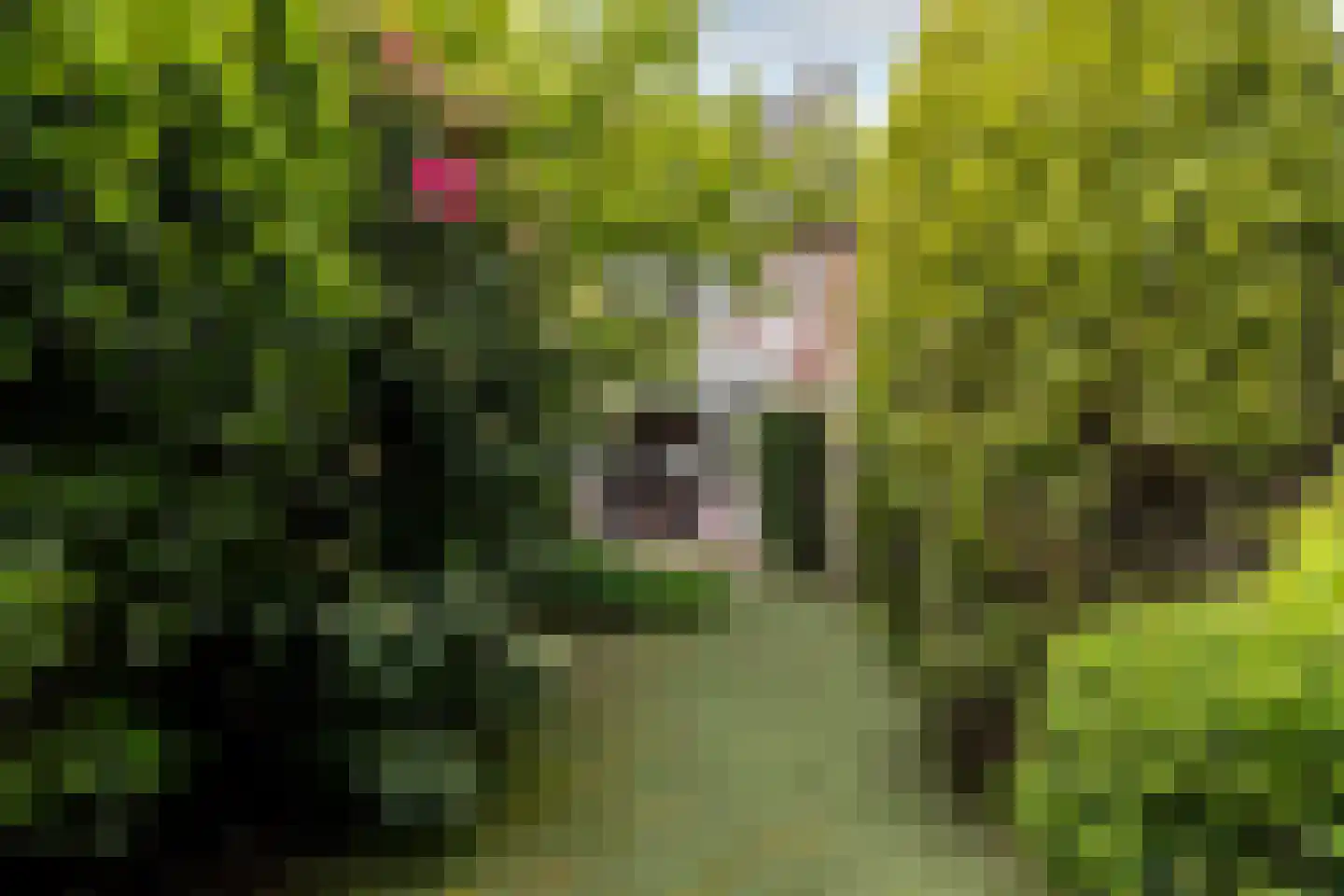Terheijdenseweg 118 Breda thumbnail 26