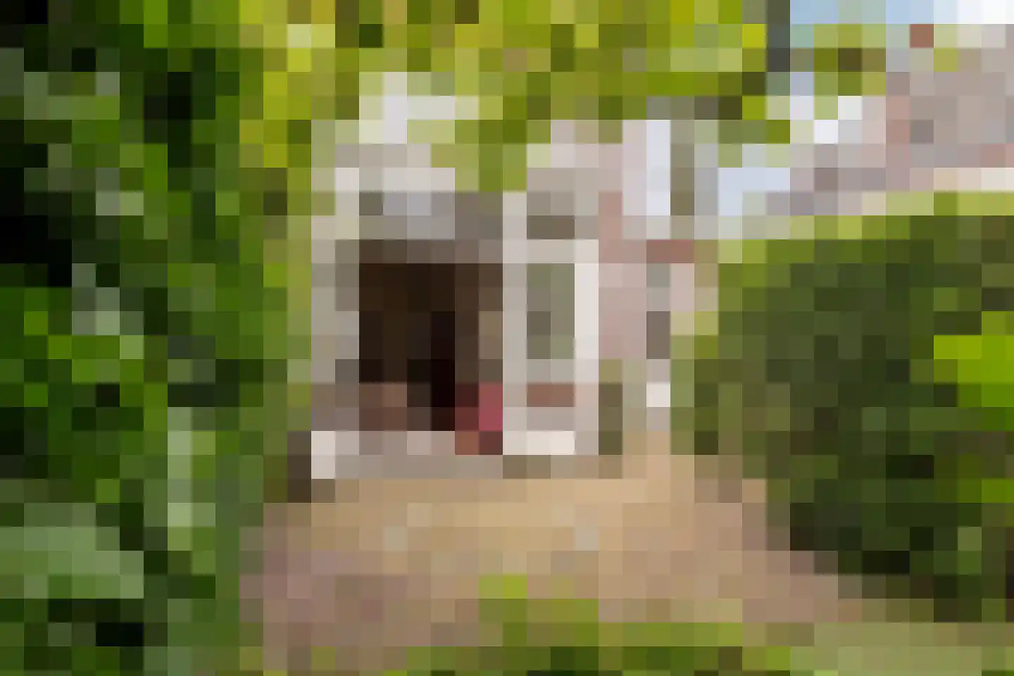 Terheijdenseweg 118 Breda thumbnail 27