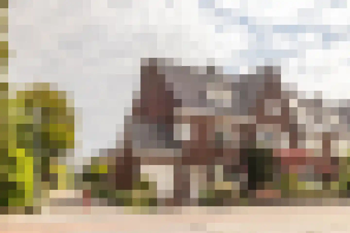 Terheijdenseweg 118 Breda thumbnail 7