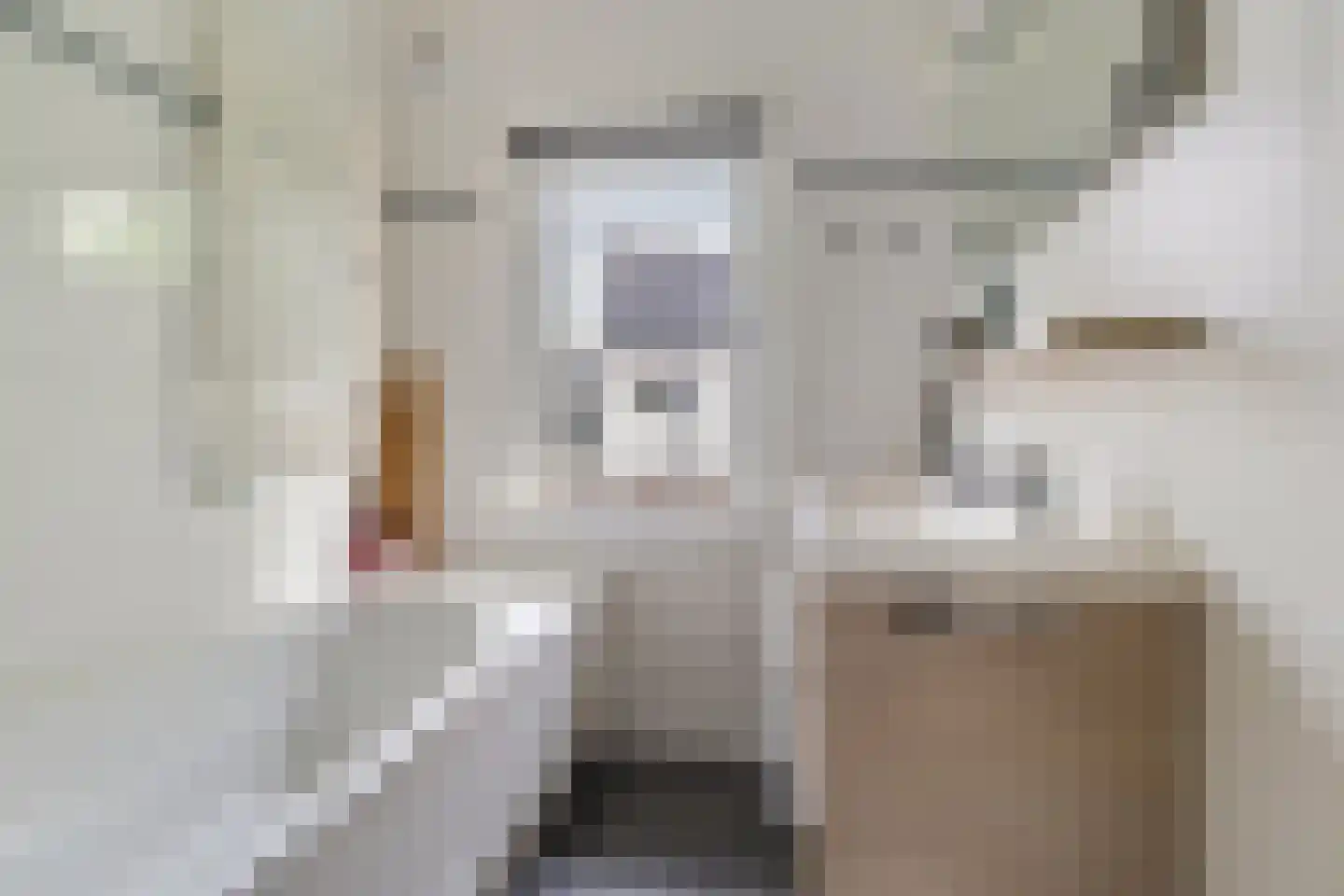 Terheijdenseweg 19 Breda thumbnail 19