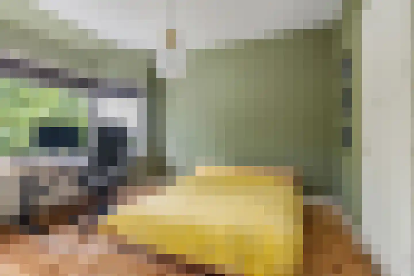 Terheijdenseweg 19 Breda thumbnail 22