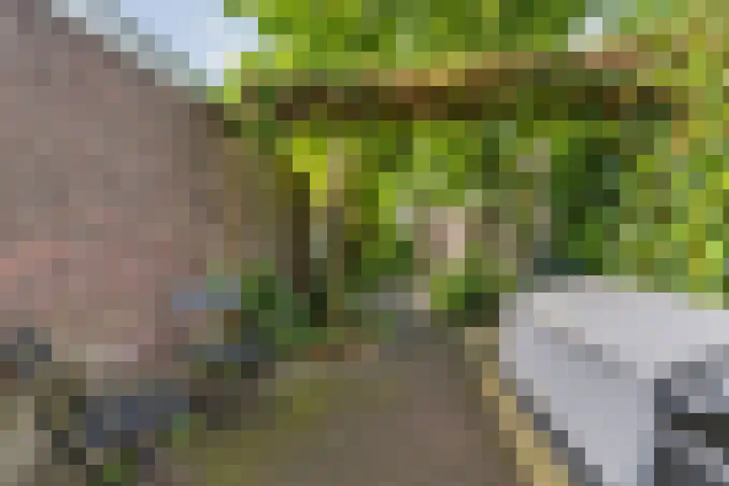 Terheijdenseweg 19 Breda thumbnail 31