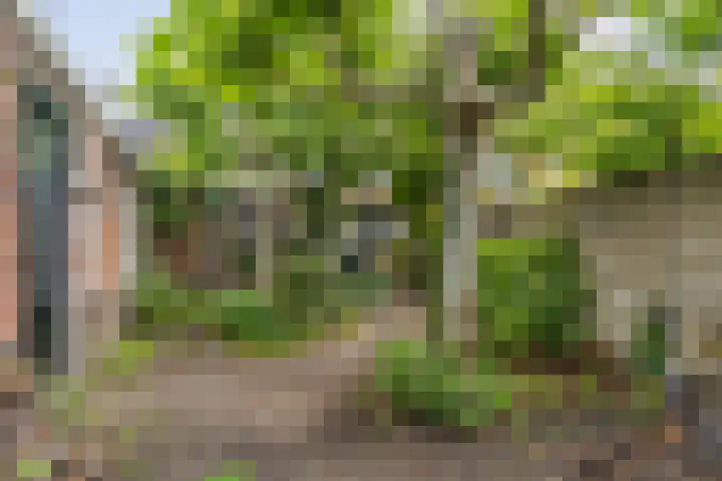 Terheijdenseweg 19 Breda thumbnail 33