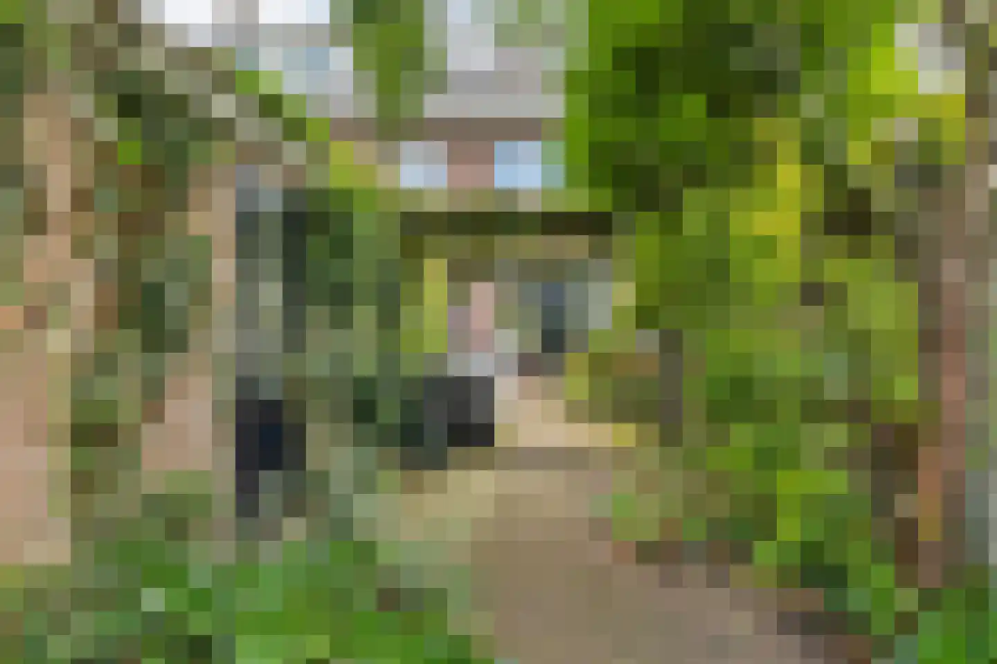 Terheijdenseweg 19 Breda thumbnail 34