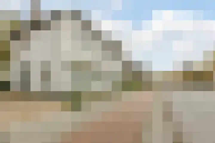 Terheijdenseweg 194 B Breda thumbnail 36