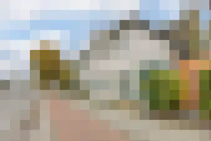Terheijdenseweg 194 B Breda thumbnail 37