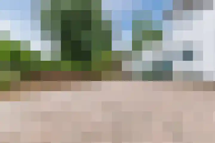 Terheijdenseweg 196 A Breda thumbnail 17
