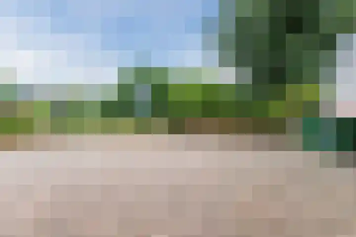 Terheijdenseweg 196 A Breda thumbnail 18