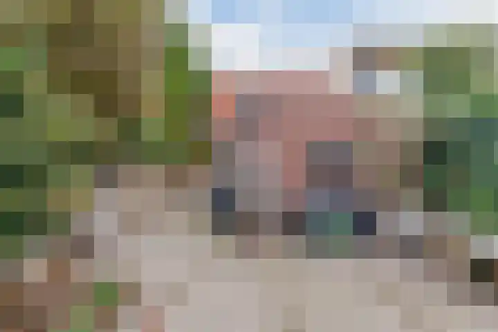 Terheijdenseweg 227 Breda thumbnail 17
