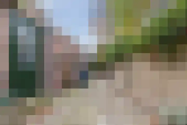 Terheijdenseweg 227 Breda thumbnail 18