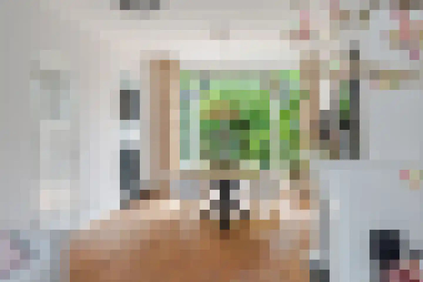 Terheijdenseweg 27 Breda thumbnail 17
