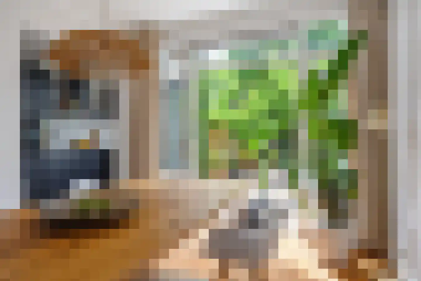 Terheijdenseweg 27 Breda thumbnail 18