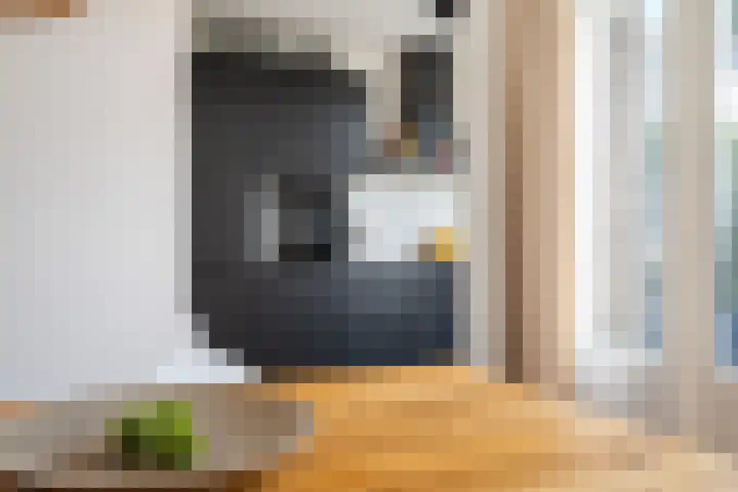 Terheijdenseweg 27 Breda thumbnail 19