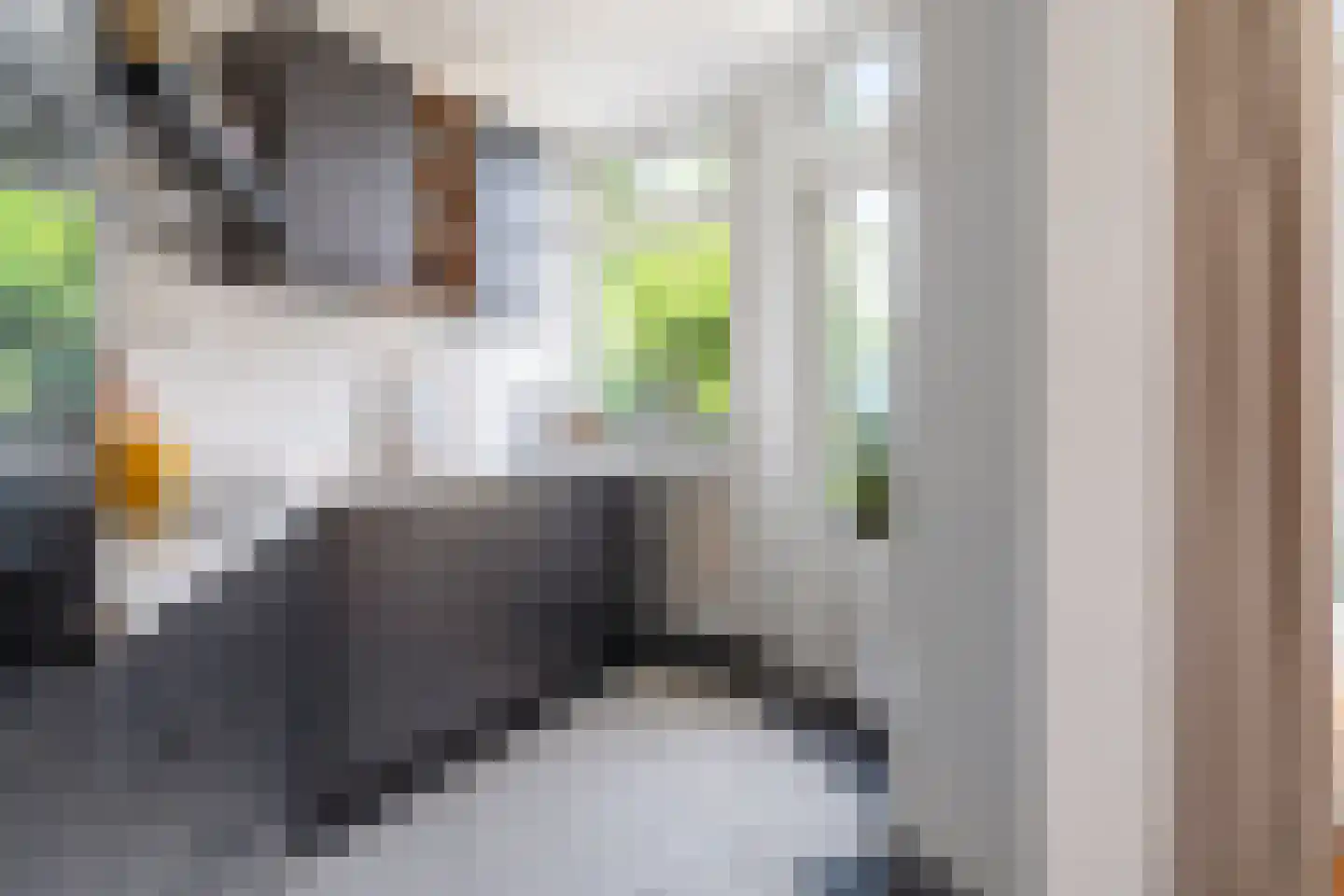 Terheijdenseweg 27 Breda thumbnail 21