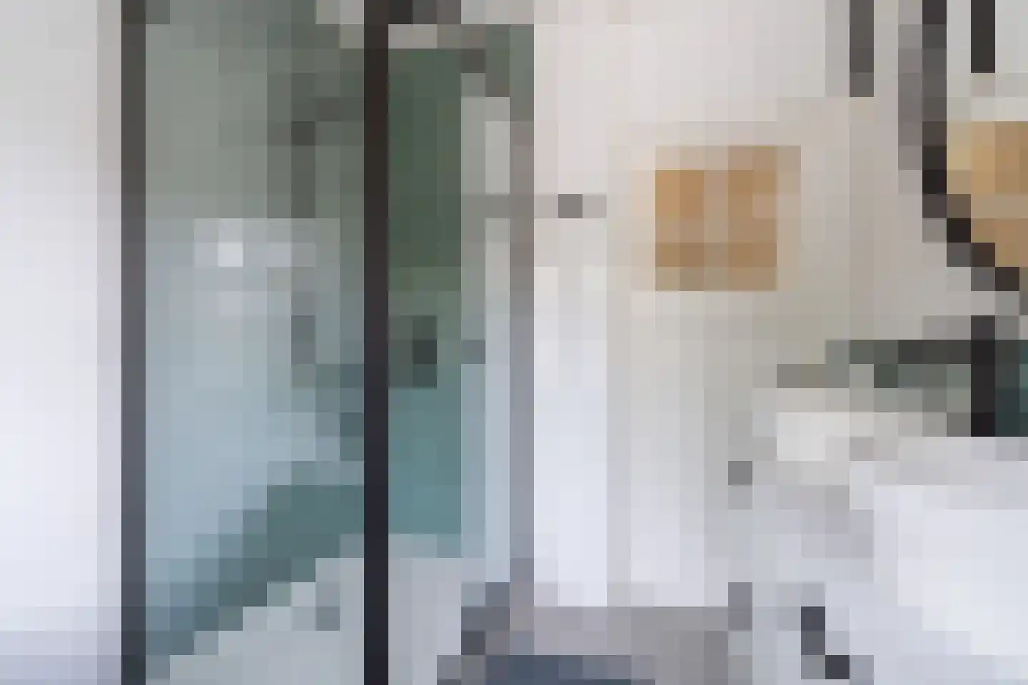 Terheijdenseweg 27 Breda thumbnail 34