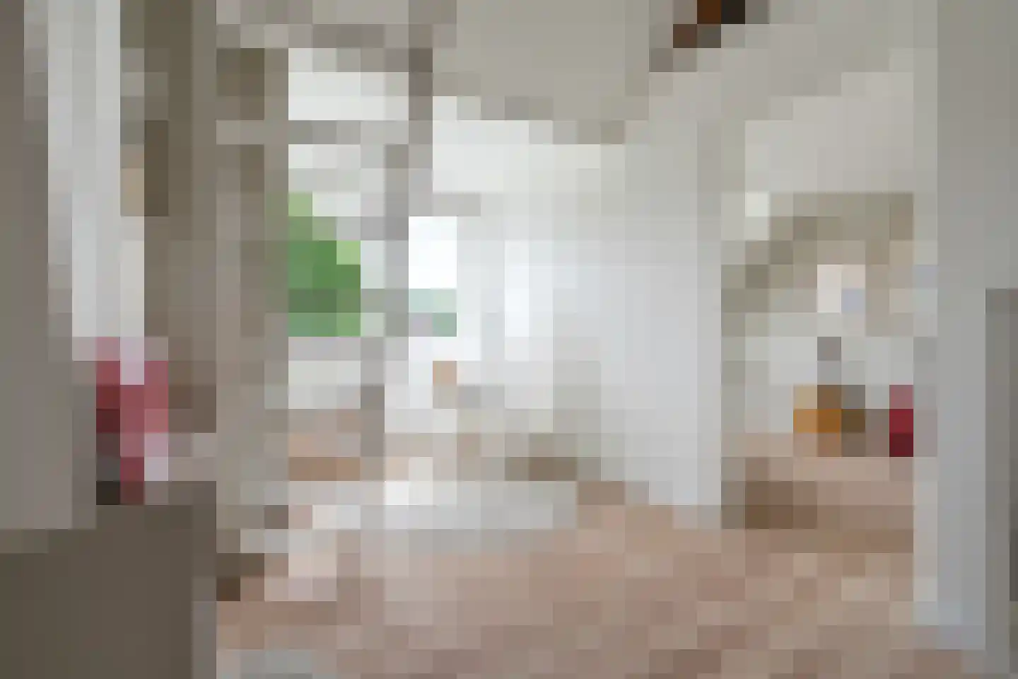 Terheijdenseweg 27 Breda thumbnail 39