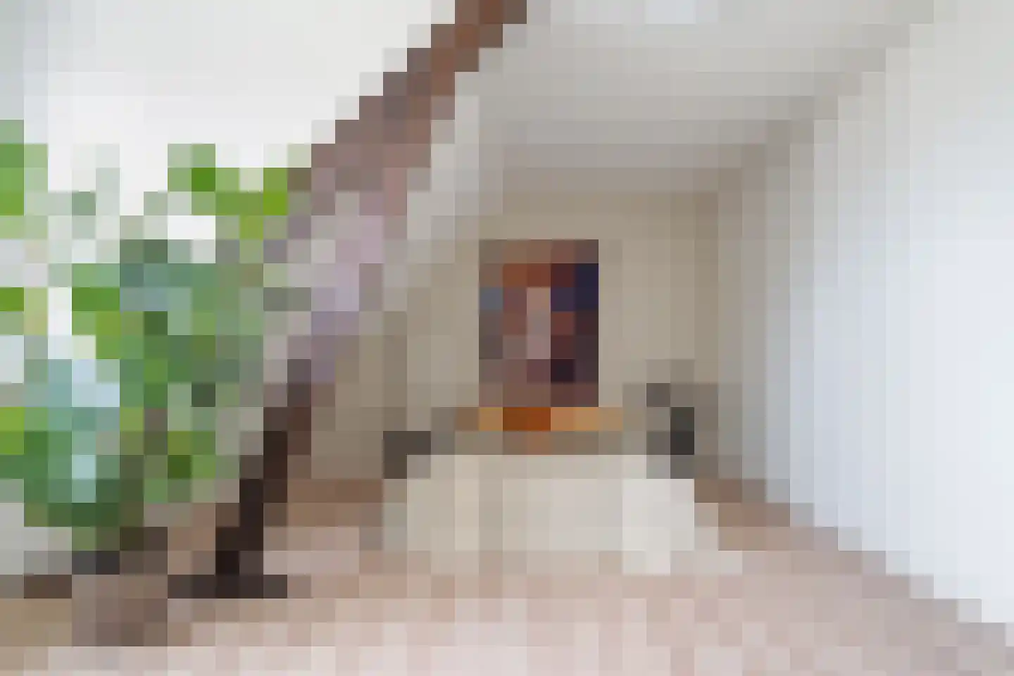 Terheijdenseweg 27 Breda thumbnail 44