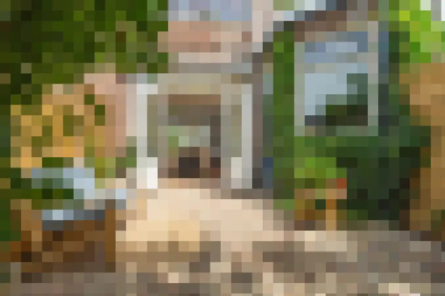 Terheijdenseweg 27 Breda thumbnail 48