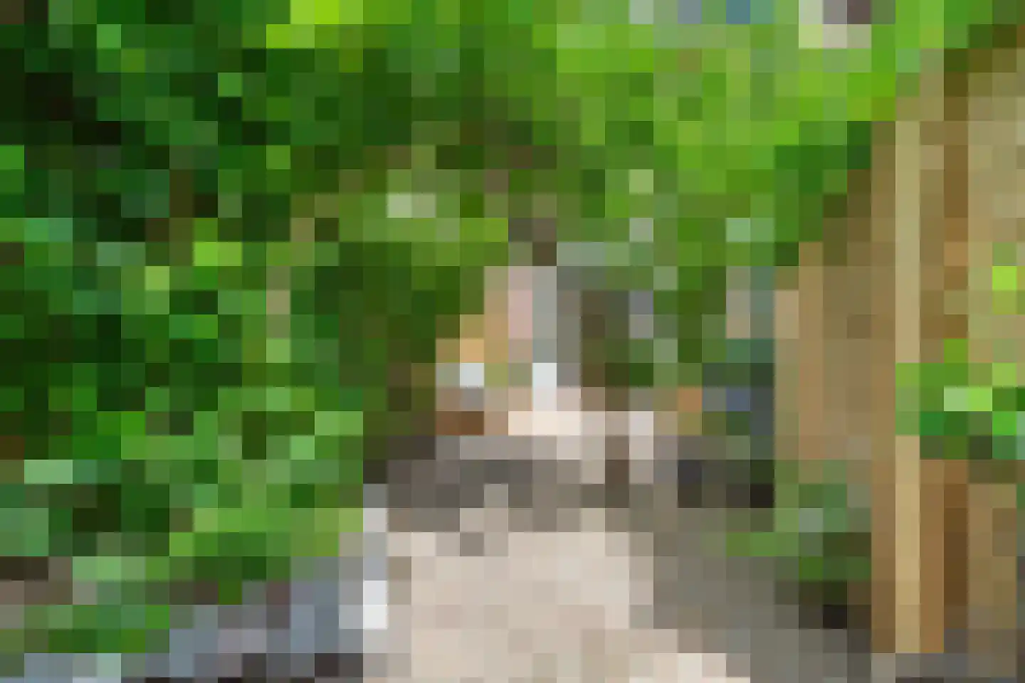 Terheijdenseweg 27 Breda thumbnail 49
