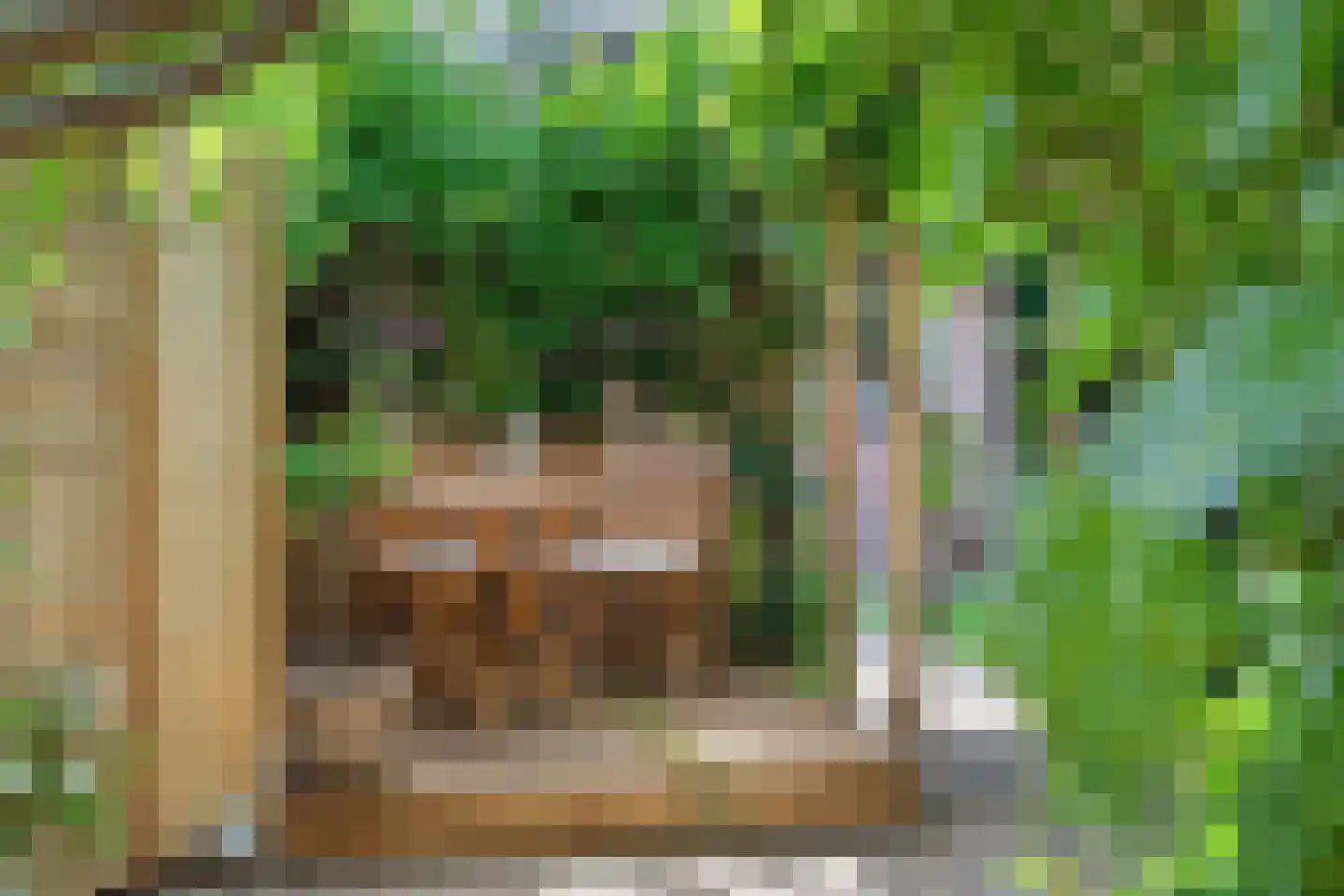 Terheijdenseweg 27 Breda thumbnail 51