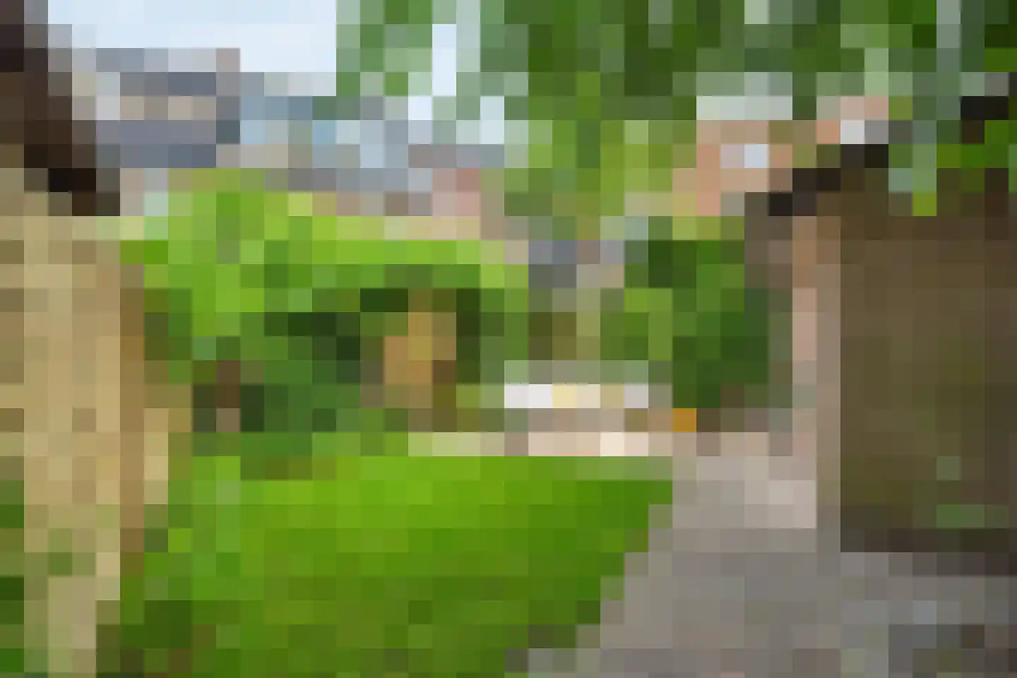 Terheijdenseweg 27 Breda thumbnail 53
