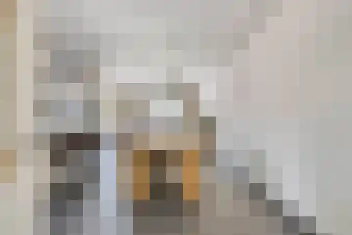 Terheijdenseweg 410 Breda thumbnail 10