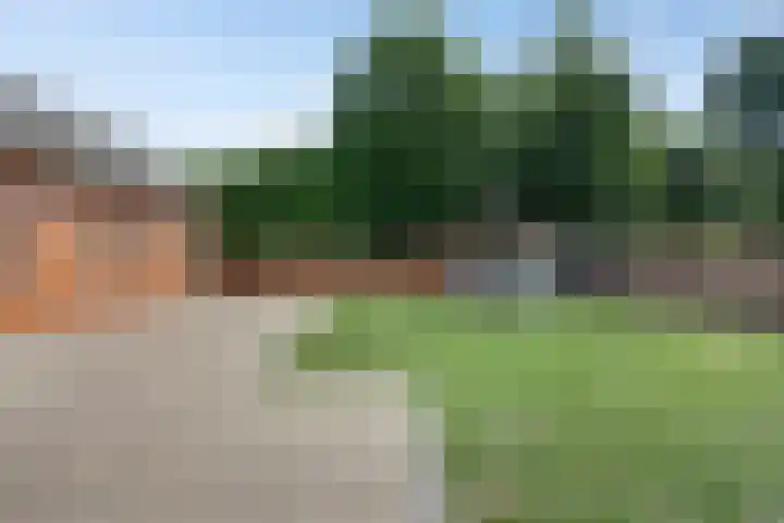 Terheijdenseweg 410 Breda thumbnail 31